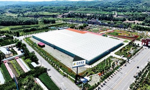 黃土地綻放美麗經(jīng)濟(jì) 臨夏百益現(xiàn)代農(nóng)業(yè)科技有限責(zé)任公司技術(shù)開發(fā)側(cè)記