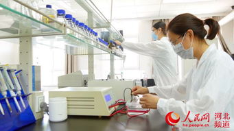 科技創(chuàng)新引領(lǐng)藍(lán)色經(jīng)濟(jì)新未來——秦皇島領(lǐng)先生物的技術(shù)開發(fā)之路